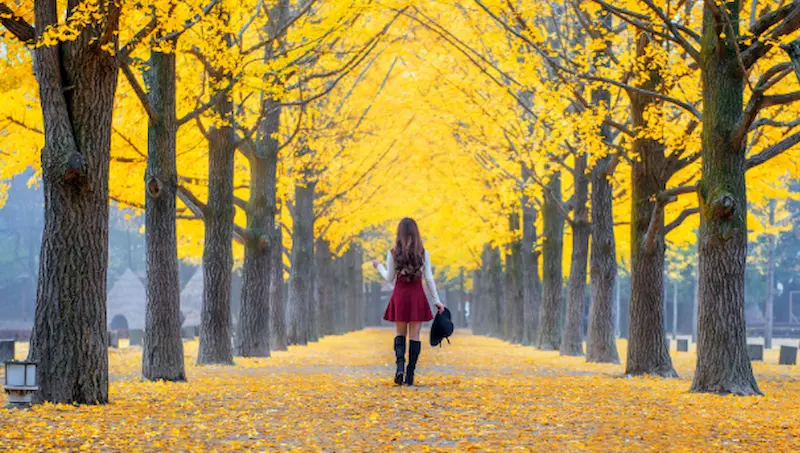 why yellow spring road is must visit