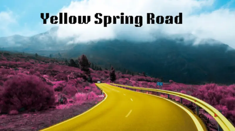 Cherry Blossoms and Yellow Spring Road: A Scenic Adventure Awaits