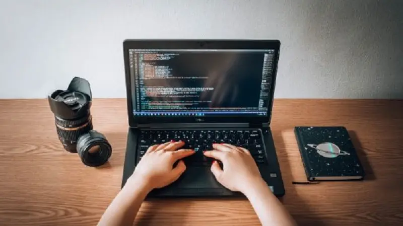 common causes of bugs on evebiohaztech