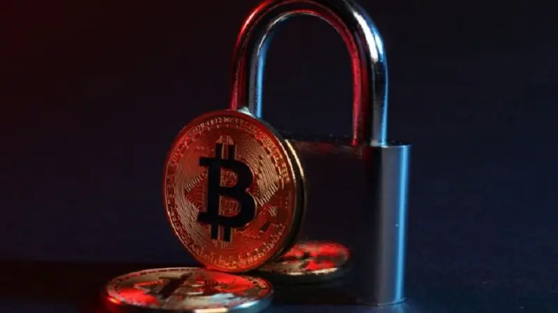 what Is roarcultable latest crypto trends from riproar?